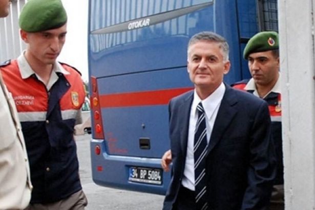 Kediler dünyaya nasıl yayıldı?