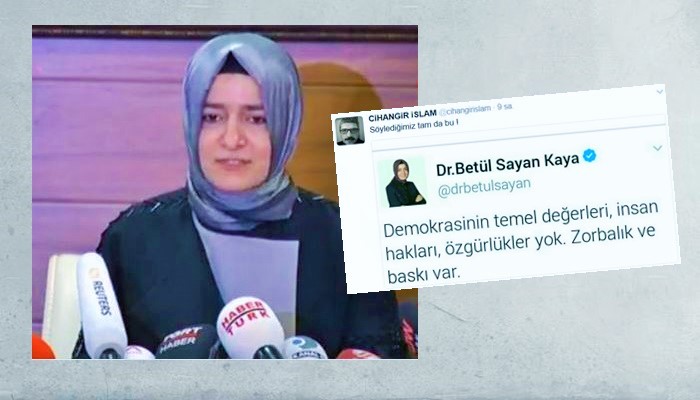 Bakan Kaya, ‘Demokrasi, İnsan Hakları’ dedi, Aydınlar cevap verdi: Biz de tam bunu söylüyoruz