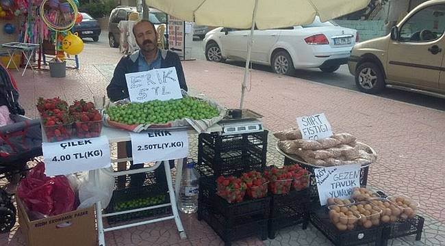 KHK ile ihraç edilen öğretmen erik satıyor