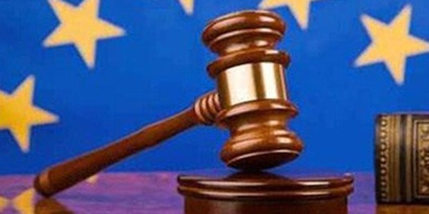 Referandum için AİHM’ye ilk bireysel başvuru yapıldı