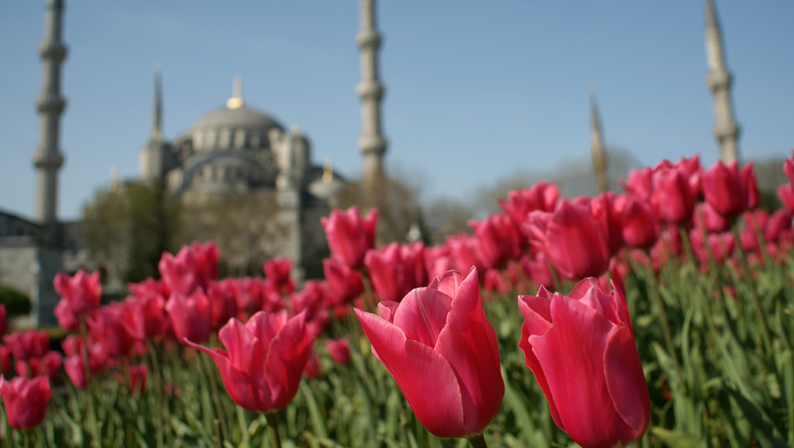 Hollanda ‘Hizmet’ hakkındaki resmi raporunu yayınladı:Hollanda’da entegrasyona katkı yapıyor