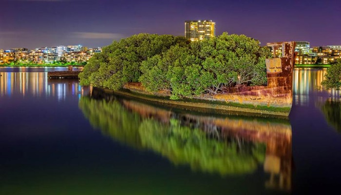 Avustralya’da Homebush Körfezi’ndeki gemi de gerçek orman da…