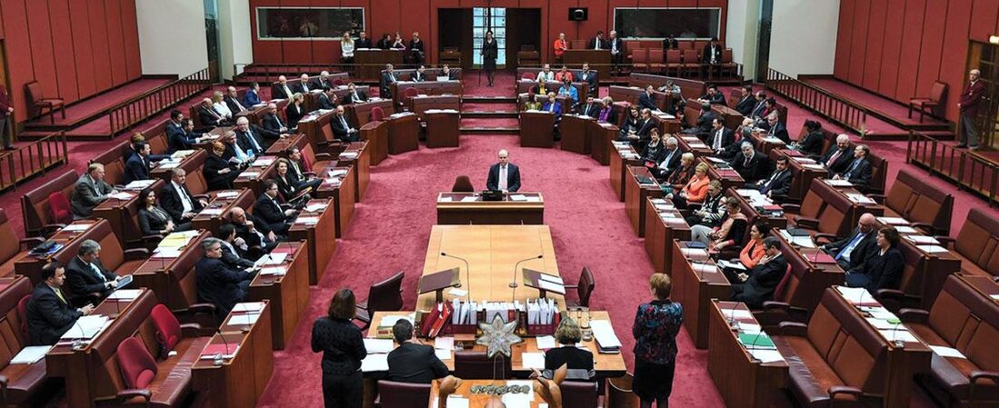 Vatandaşlık yasası senatoda reddedildi: Gölge Bakan, mevcut yasaya  göre başvuru yapılabilineceğini söyledi