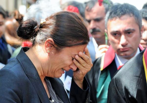 Türkan Elçi: Kesmeselerdi ağaçları göçmeyecekti kuşlar