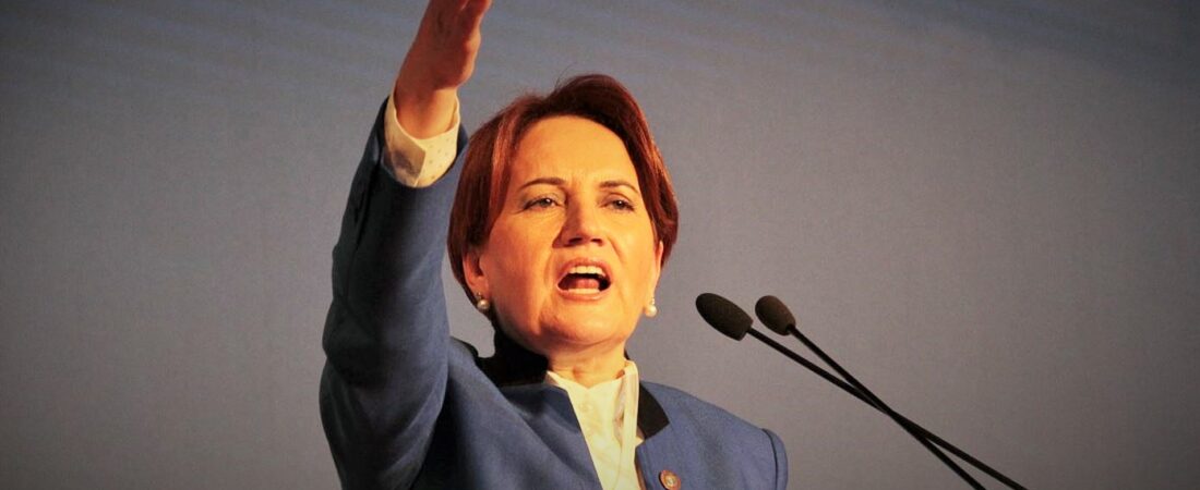 Akşener: Kefenli tosunlar Afrin Operasyonu’nda başrolde olsun