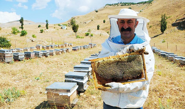 ‘Komünist Başkan’, Ovacık’ın gelir-gider tablosunu belediyeye astı