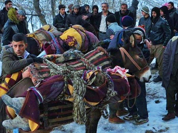 Şaka değil: Uludere Savcısı; katırlar gözaltına alındı, savcılığa sevk edilecek