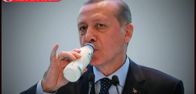 Muharrem İnce: İnek ithal, saman ithal, ayran nasıl milli oluyor?