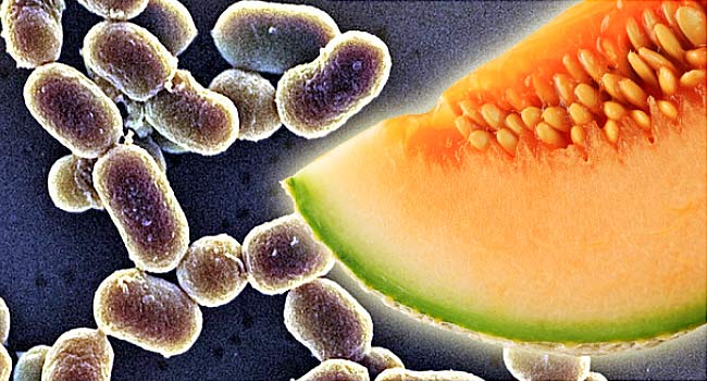 Listeria bakterisine 1 kurban daha