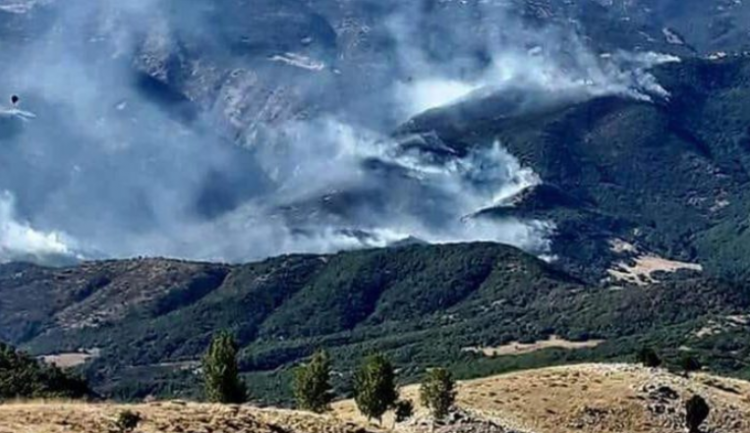 DERSİM DAĞLARI GÜNLERDİR YANIYOR; DEVLET SEYREDİYOR