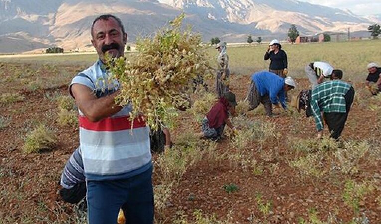 ‘Komünist Başkan’ın organik ürünleri ABD ve İngiltere yolunda