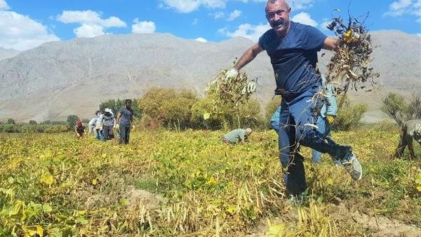 Ovacık’ın ‘Komünist Başkanı’ Sosyalist Meclisler Federasyon’un, Tunceli’den adayı olduğunu açıkladı