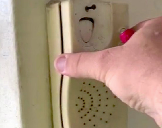 Telefonun içinden onlarca hamam böceği çıkınca şok oldu
