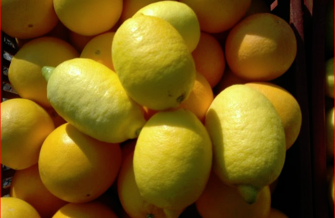 Stok nedeniyle, Avustralya’da limon fiyatı eti geride bıraktı
