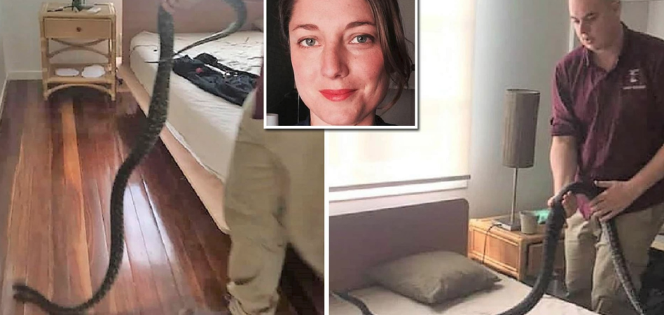 Brisbane şehrinde uyuduğu sırada pitonla göz göze gelen kadının hayatını, soğukkanlılığı kurtardı