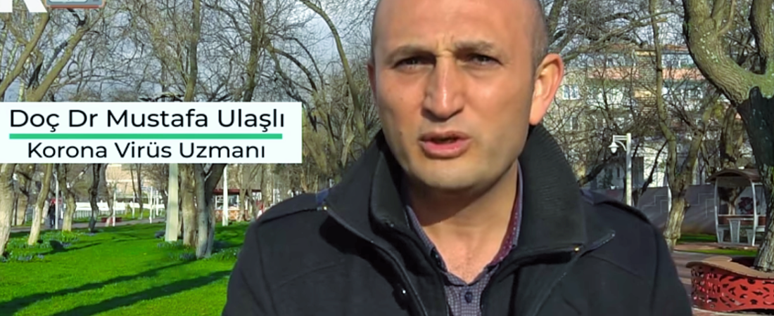 Konunun uzmanı Doç. Dr. Ulaşlı anlatıyor: Koronavirüs hücre içine nasıl giriyor?