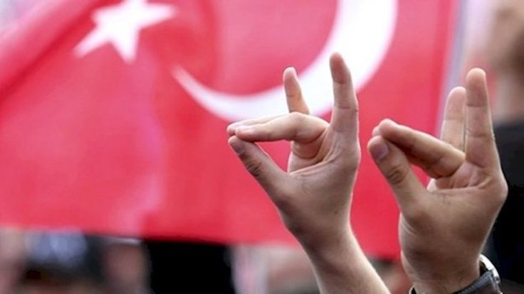 Fransa’dan sonra Almanya’da da ülkücü hareket yasaklanıyor