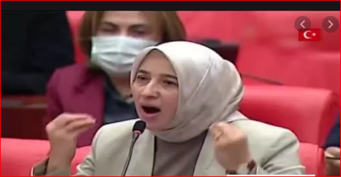 Suçun üstünü örtmenizden dolayı yargılanacaksınız: AKP ve MHP, ‘çıplak arama’nın araştırılmasını reddetti