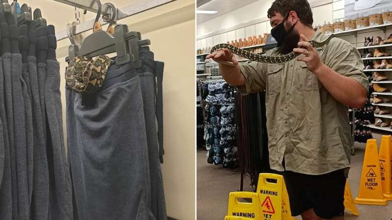 Target mağazasında elbise reyonunda saklanan yılan yakalandı