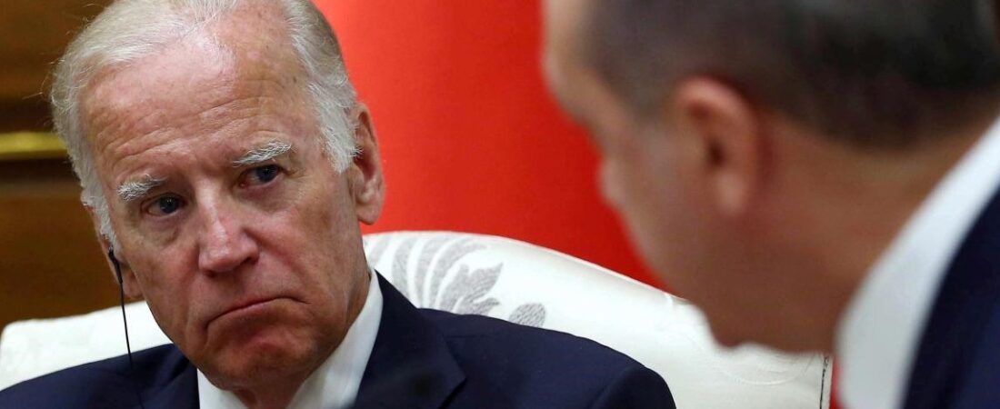 ABD’li üst düzey diplomat: Erdoğan ikili oynuyor