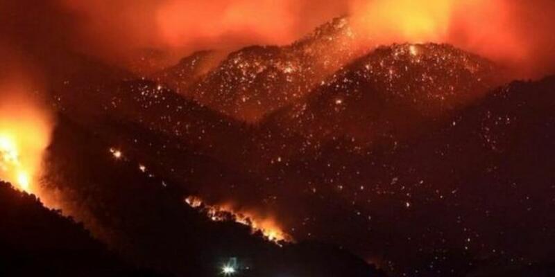 İktidar seyirci, devlet engelliyor: Tunceli’de 11 gündür yanan ormana havadan müdahale edilmedi