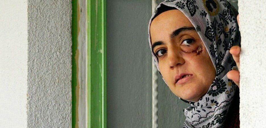 Hukukçu Prof. Dr. Hatemi: Ayşe Özdoğan’ın tutuklanma kararı yürek sızlatıyo
