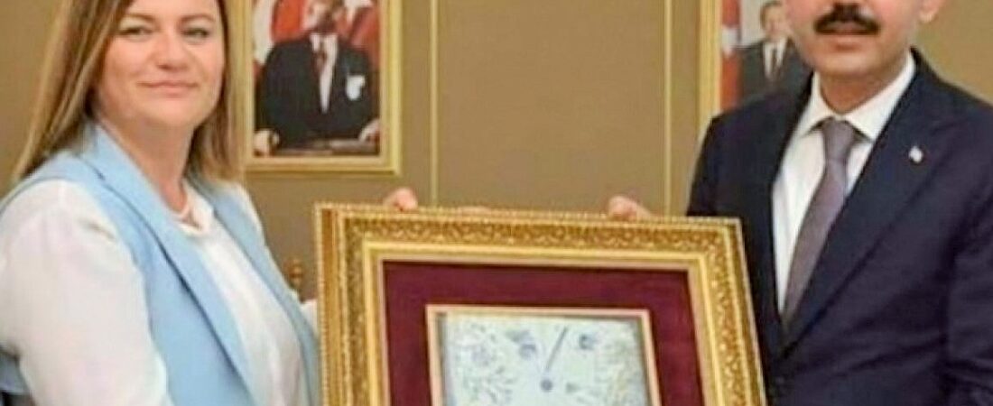 Çifte maaşlı AKP’li Havvanur Yurtsever HSK üyesi oldu
