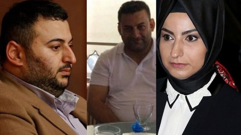 Yönetmelikle önleri açıldı: Binali Yıldırım’ın çocukları zeytinlik işine girdi