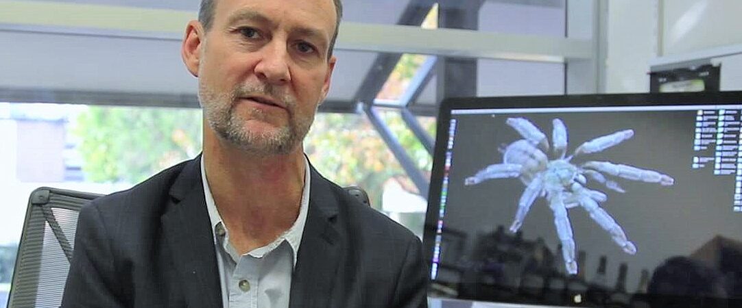 Queensland Üniversitesi’nden araştırma: Örümcek zehrinden kalp krizi ilacı geliştirildi