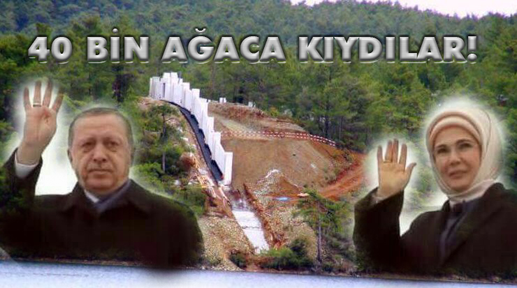 Erdoğan’ın ‘Yazlık Sarayı’nın yolu için 50 milyon lira harcanacak