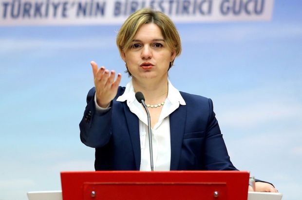 Selin Sayek Böke: Siz milli değil misiniz, niye 78 milyon dolara uçak aldınız?