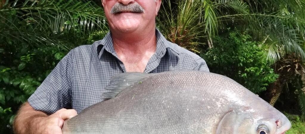 Queensland’de balıkçı, timsahın karnında bulundu