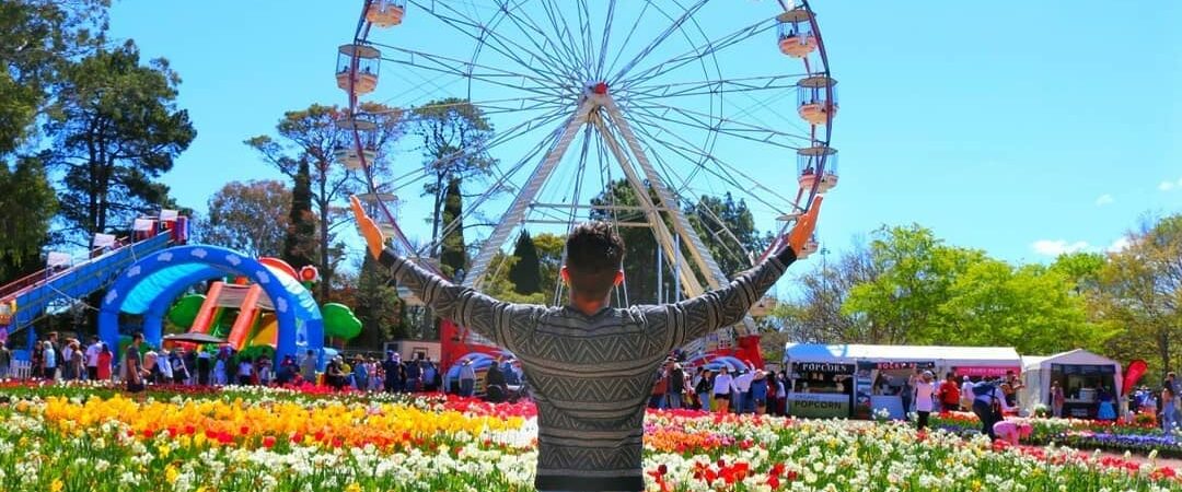 Başkent Kanberra’da Kanola tarlaları sarıya boyandı:Lale festivaline ise büyük ilgi