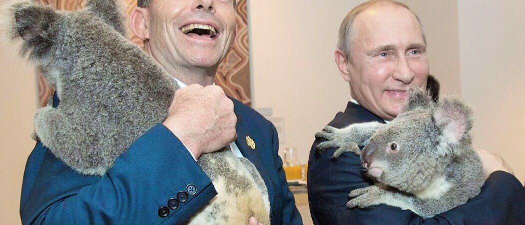 Avustralya’dan Koala diplomasisi: Putin’in Koala kucaklaması 24 bin dolara mal oldu
