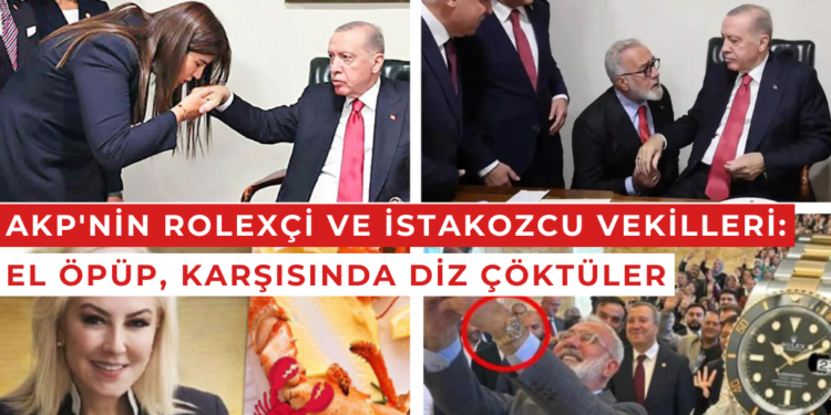 AKP’nin Rolexçi ve ıstakozcu vekilleri: El öpüp, Erdoğan’ın karşısında diz çöktüler