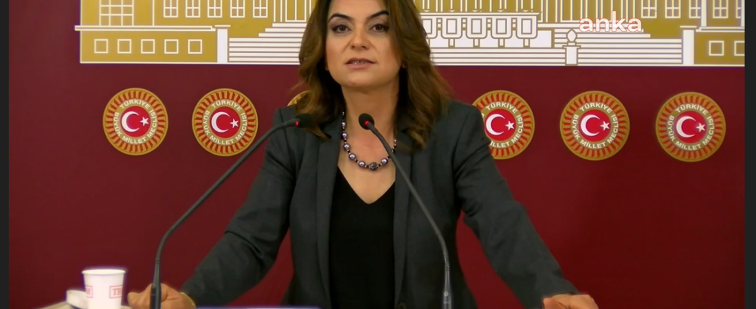 DEM Parti Grup Başkanvekili Koçyiğit:‘Yenidoğan Çetesi’nin sorumlusu AKP iktidarı değil mi?