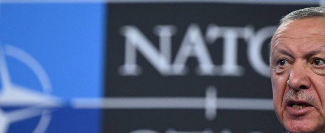 AFSV direktörü Alp Aslandoğan Newsweek’te yazdı: NATO, Türkiye’yi hukuka ve demokrasiye geri döndürmeli