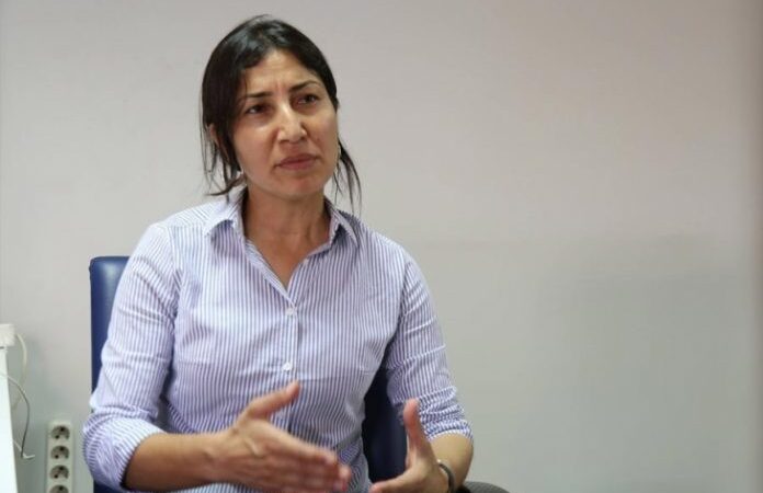 Ödemir: Erdoğan’ın kolu Türkiye’de çok yere uzanabilir ama Berlin’e uzatmaz