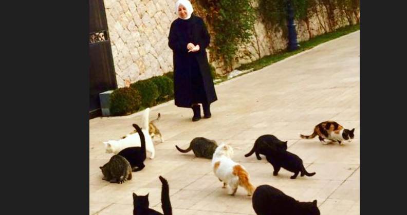 Hak İnsiyatifi Derneği: “Melek İpek, cezaevinde tek başına hayatını idame ettiremez”
