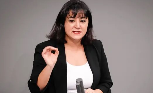 Türkiye’de gözaltına alınan Alman Sol Parti Milletvekili Gökay Akbulut: Kuvvetler ayrığı olmadığını bir kez daha gördük