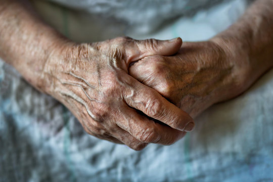 Avustralya’da bilim insanları bir ilk: Kan dolaşımı olan deri dokusu üretildi