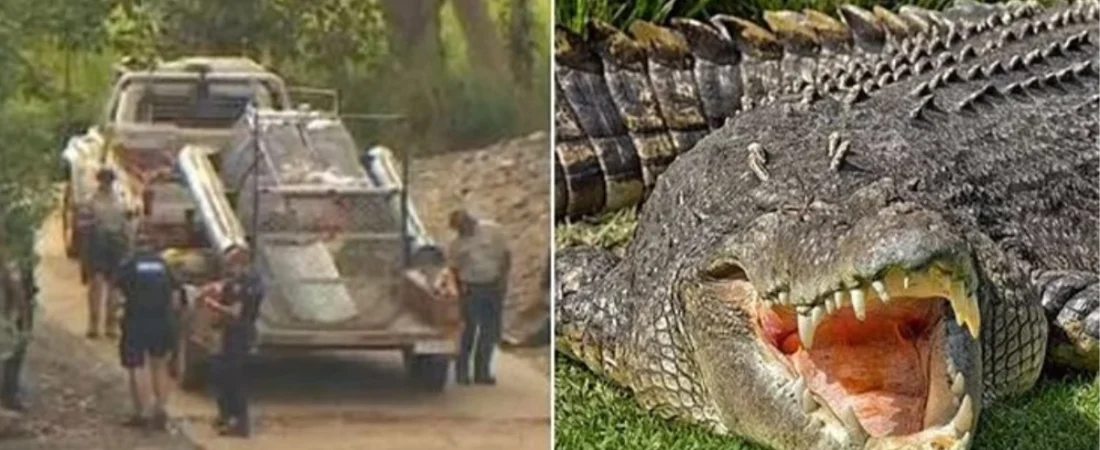 Queensland’de balıkçı dehşeti: Timsah, ailesinin gözü önünde suya çekerek öldürdü