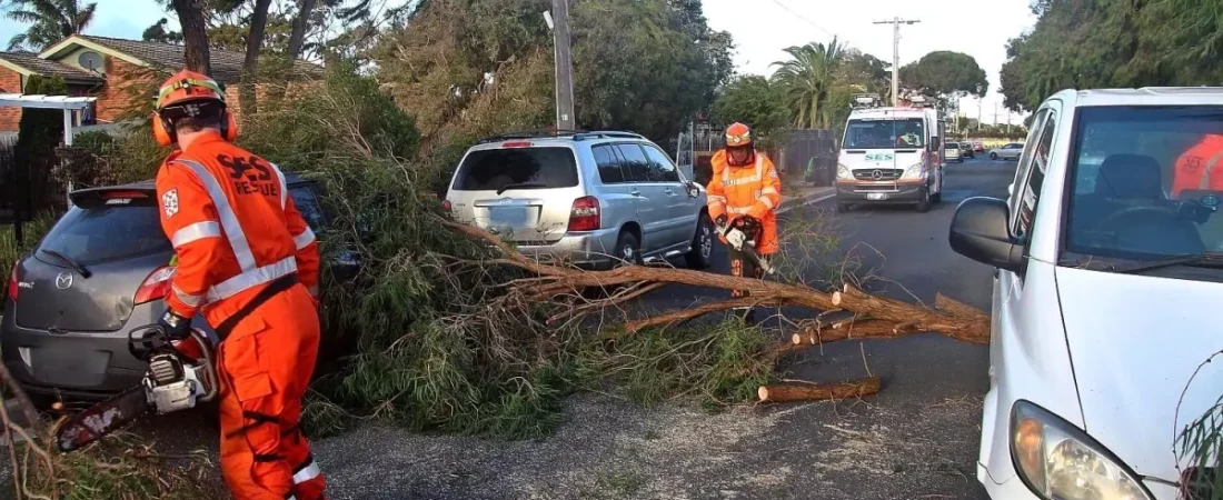 Victoria’da şiddetli rüzgar ve yağışlar can aldı, binlerce kişi elektriksiz kaldı