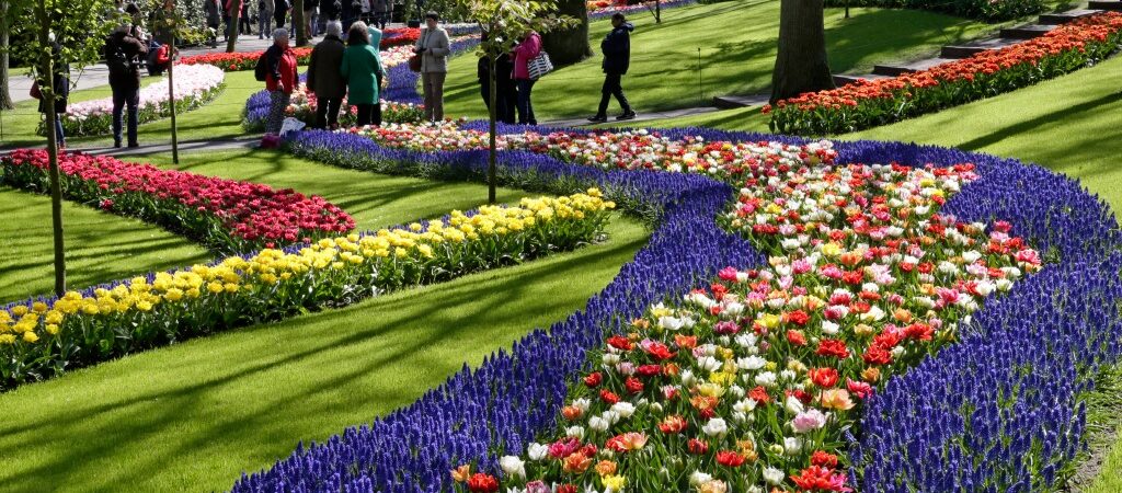 Dünyanın en büyük çiçek parkı Keukenhof, 75. kez açıldı