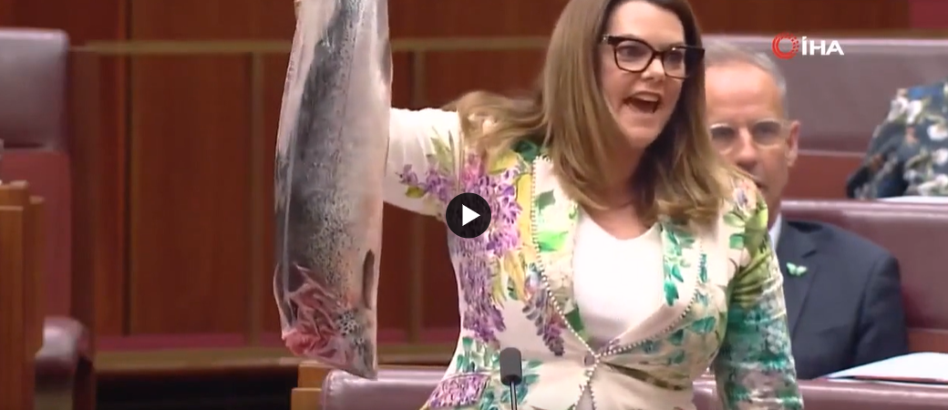 Senatör Sarah Hanson-Young balıkla parlamento kürsüsüne çıktı
