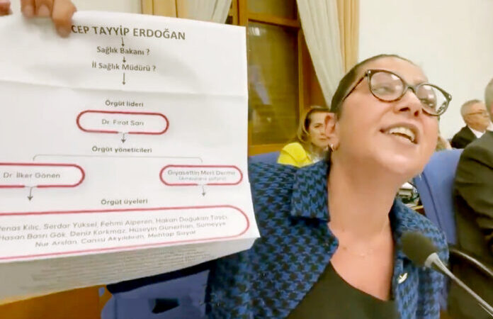 Sera Kadıgil bebek katilleri için: “Yenidoğan Çetesi örgüt şemasının başında Erdoğan var”