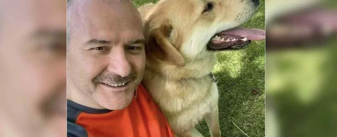 İşte köpek katliamı yasasına sessiz kalan vekillerin tam listesi